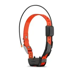 Garmin Garmin Alpha TT 25 - Köpek Tasması