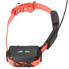 NUMAXES CANİCOM ŞOKLU MİNİ 2 EK TASMA