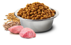 N&D Tropical Selection Kuzu Etli Kısırlaştırılmış Kedi Maması 10kg